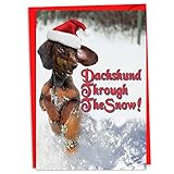 C4287XSG-B12 Box Set of 12 Dachshund Through The Snow Merry Christmas Greeting Cards; with Envelopes