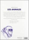 Image de Saber dibujar los animales / Learn to draw animals (Spanish Edition)