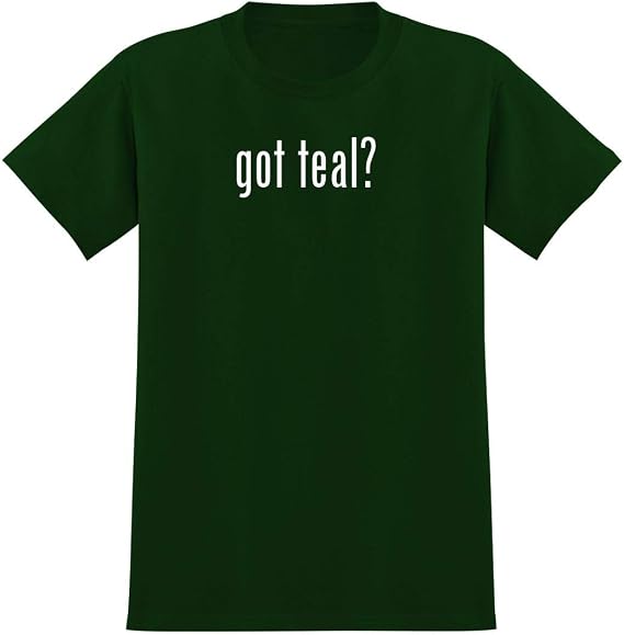 teal t shirt men