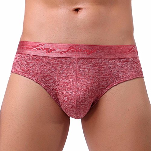Hot Sale,Todaies Men's Boxer Soft Briefs Underpants Knickers Shorts Sexy Underwear (L, Red)