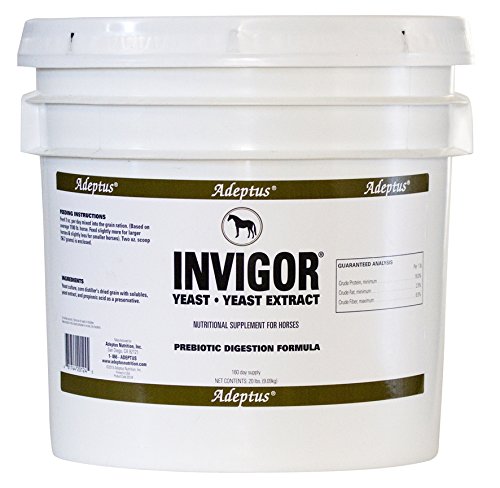Adeptus Nutrition Invigor EQ Joint Supplements, 20 lb./12 x 12 x 12"