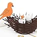 Lovepop Bird's Nest 3D Pop-Up Greeting Card