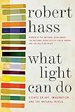 What Light Can Do: Essays on Art, Imagination, and the Natural World by Robert Hass