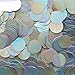 20mm Flat Round Sequin Paillettes Silver Metallic Iris Rainbow Made in USA.