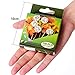 Clear Self-Adhesive Photo Corners Picture Mounting Corner Stickers for DIY Album Scrapbook, 250 Pieces/Pack (3 Pack)