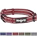 Blueberry Pet Essentials Safe & Comfy 3M Reflective Adjustable Dog Collar - Marsala Red, Large, Neck 18