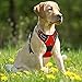 BARKBAY No Pull Dog Harness Front Clip Heavy Duty Reflective Easy Control Handle for Large Dog Walking(Red,XL)