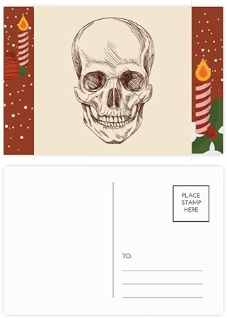 Amazon.com : Human Skull Skeleton Illustrations Christmas Candle