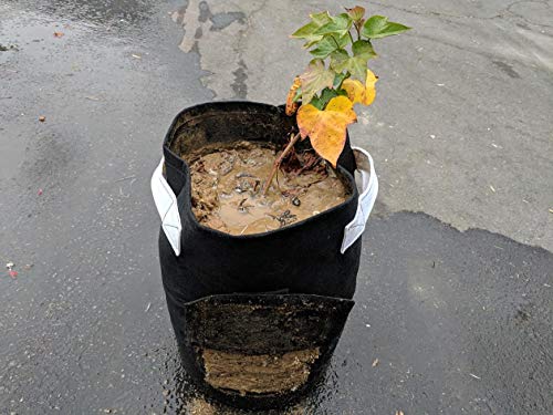 247Garden 5-Pack 15-Gallon Potato Grow Bags/Aeration Fabric Pots w/Handles & Flap Door for Easy Harvesting (Black)