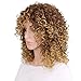 Mildiso Short Wigs for Black Women Afro Curly Wig Kinky Wigs African American Hair Wig Heat Resistant with Wig Cap M022