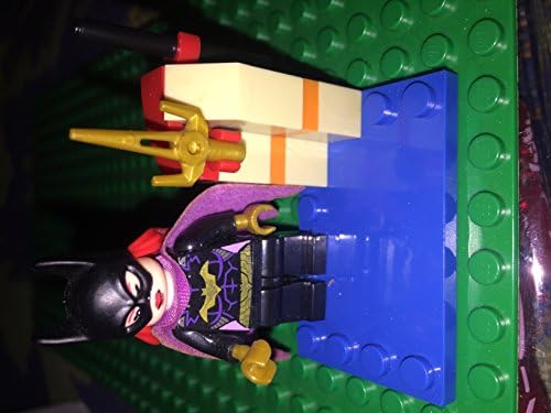 Batgirl Custom Minifigure Mini Figureswith Base and Accessories