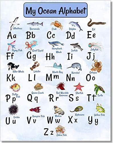 Amazon.com: Alphabet Poster - ABC Chart Art Print - My Ocean Animals ...