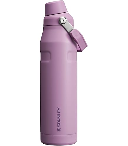 Amazon.com : Stanley All Day Slim Bottle 34 oz | Twist On Lid with