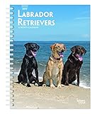 Labrador Retrievers 2019 6 x 7.75 Inch Weekly Engagement Calendar, Animals Dog Breeds Retriever (Multilingual Edition) by 