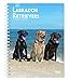 Labrador Retrievers 2019 6 x 7.75 Inch Weekly Engagement Calendar, Animals Dog Breeds Retriever (Multilingual Edition) by 