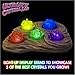 Discover with Dr. Cool Ultimate Crystal Growing Lab – 8 Colors to Grow and Light-up Display!