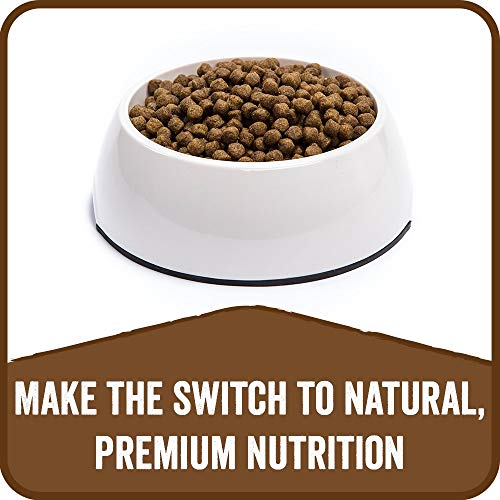 nutro max mini chunk