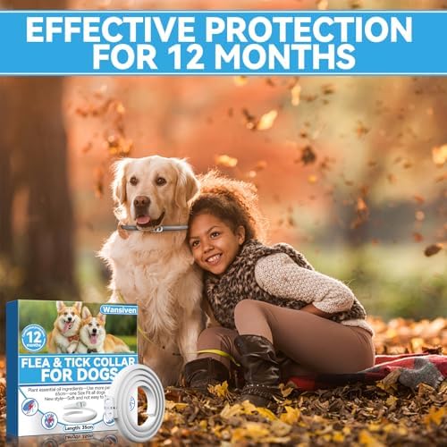 Collari Antipulci per Cani, Regolabili da 65 cm, Zecche Impermeabili, Protezione 12 Mesi, per Cani di Piccola, Media e Grande Taglia (2P)