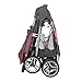 Cosco Lift and Stroll Travel System, Posey Pop
