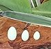 The Jade Eggs For Women Exercise Handmade Jade Eggs