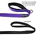 Wagtime Club Double Handle Dog Leash, 6ft Long Heavy Duty Dog Leash with Paded Traffic Handles for Extral Control and Training, Dual Handles Leads, Large Medium Small Dogs (Reflective Vibrant Purple)