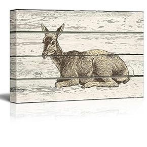 Illustration of an Animal Laying Down on a Wooden Background - Canvas Art Home Art - 12x18 inches
