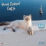 Tushita Publishing, 2019 Cats Greek Island Wall Calendar by