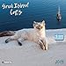 Tushita Publishing, 2019 Cats Greek Island Wall Calendar by