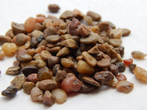 Mini River Pebbles in Earth Tones for Terrariums, Craft, Weddings and More