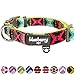 Blueberry Pet 2 Colors Soft & Comfy Southwestern Vintage Tribal Print Padded Adjustable Dog Collar, Extravagant Green, Medium, Neck 14.5