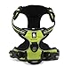 Chai's Choice Best Outdoor Adventure Dog Harness (X-Large, Green)