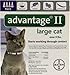 Advantage II Purple 4-Month Flea Control for Large Cats Over 9 lbs -- 4 Tubes