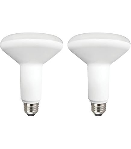 TCP 31626 - ED17 50W 50K E26 CLEAR Omni Directional Flood HID