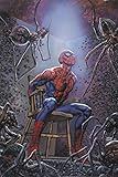 Spider-Man's Tangled Web Omnibus