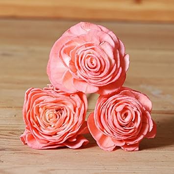 Sola Beauty Rose Corail Artificiel Ou Fleurs Séchées Amazon