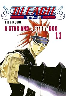 Livro Bleach vol. 11