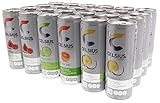 Celsius Live Fit Natural Fitness & Energy Drink, Variety Pack, for Natural Energy, Body Fat Burning, and an Accelerated Metabolism, 24/12oz Cans