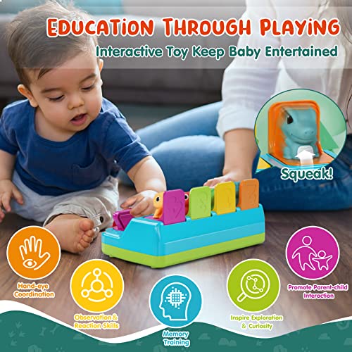 Pop Up Toy, Baby Pop Up Cause and Effect Toys for Toddlers 13