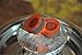 Zebra Smoke: Pierced Hookah Foil 100 Pcs NEW Hooka Shisha Precut Foils (Small)