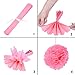 Tissue Paper Pom Pom Flowers and Paper Lanterns Party Decoration, 12 Pieces (Style A)