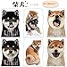 JAPANESE CALENDAR Active Corporation 2020 Calendar Inu Shiba Inu Wall Hanging Shiba Inu ACL-65