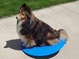 Agility Gear 22 inch Wobble Board