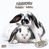 Kaninchen - Rabbits - Lapins 2019 Artwork by 