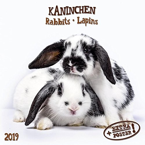 Kaninchen - Rabbits - Lapins 2019 Artwork by (Calendar)