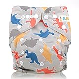 Reusable Washable Adjustable Snap Pocket Cloth Diapers, Printed Dinosaur