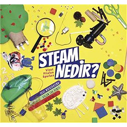 Steam Nedir? at Amazon