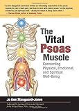 The Vital Psoas Muscle: Connecting Physical, Emotional, and Spiritual Well-Being