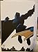 Dark Knight III The Master Race #9 Hardcover Collectors Edition