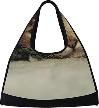 cat gym bag