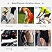 SONTHIN Arm Sleeves UV Protection Compression Sun Sleeves for Men Women Youth for Baseball Cycling Running Golf Basketball and More Sports(5 Colors Available,1 Pair)